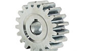雉齿轮可以买到